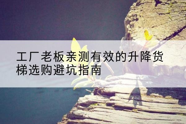 湟源升降货梯怎么选-工厂老板亲测有效的升降货梯选购避坑指南