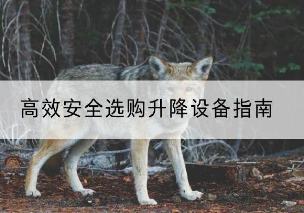 湟源升降货梯厂家推荐-*安全选购升降设备指南