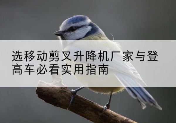 湟源电动升降机厂家-选移动剪叉升降机厂家与登高车必看实用指南