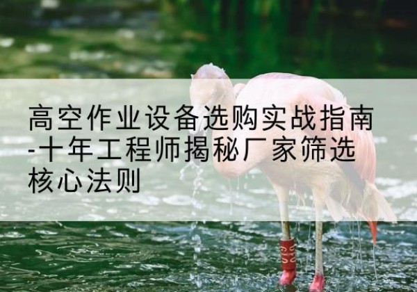 湟源剪叉式升降机厂家-高空作业设备选购实战指南-十年工程师揭秘厂家筛选核心法则